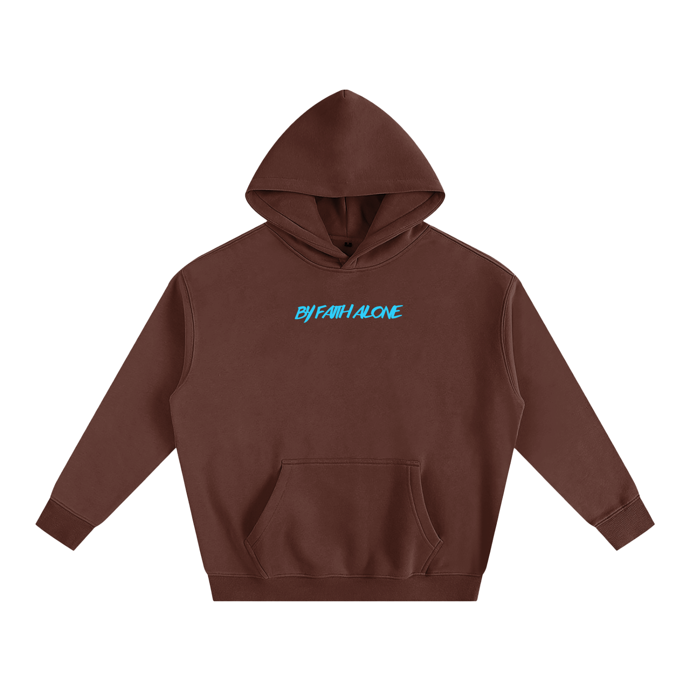 The "Noah's Ark' Oversized Hoodie